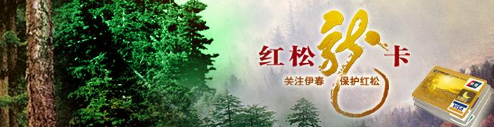 红松龙卡