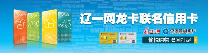 辽一网龙卡